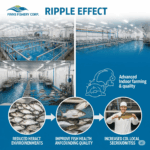 The real ripple effect of Finns Fishery Corp