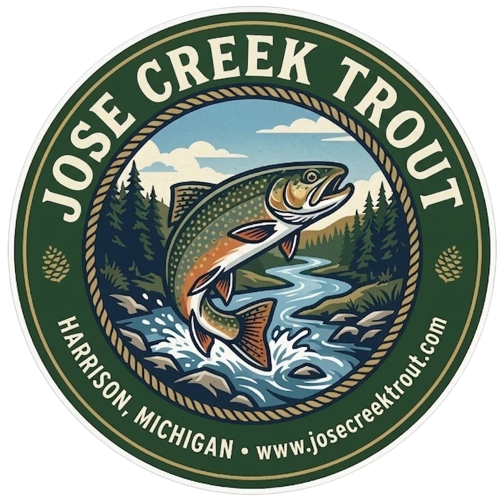 Jose Creek Trout