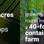 Farm Food CoOp Growing Year Round