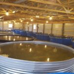 Gonen Corp is making a significant investment in the future of aquaculture in Michigan