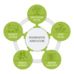 GONEN FARMS Sustainable Agriculture Priority
