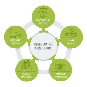 GONEN FARMS Sustainable Agriculture Priority